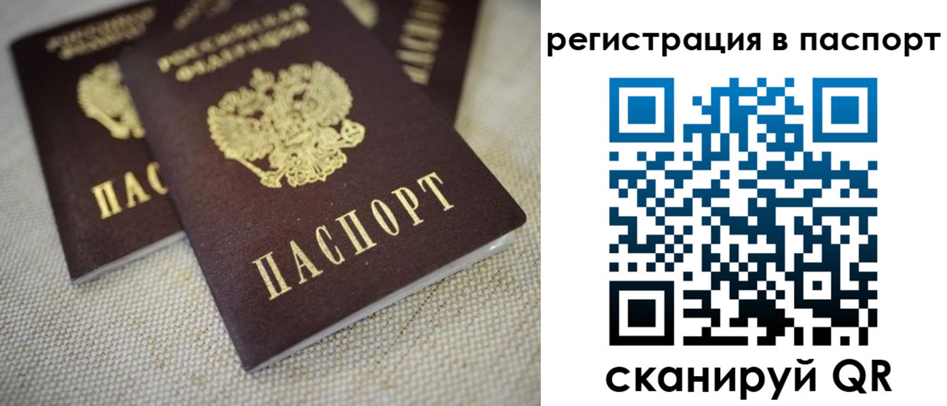 прописка гарантия в Нижнем Ломове